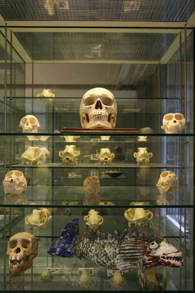 Tony Royle Monster Fish