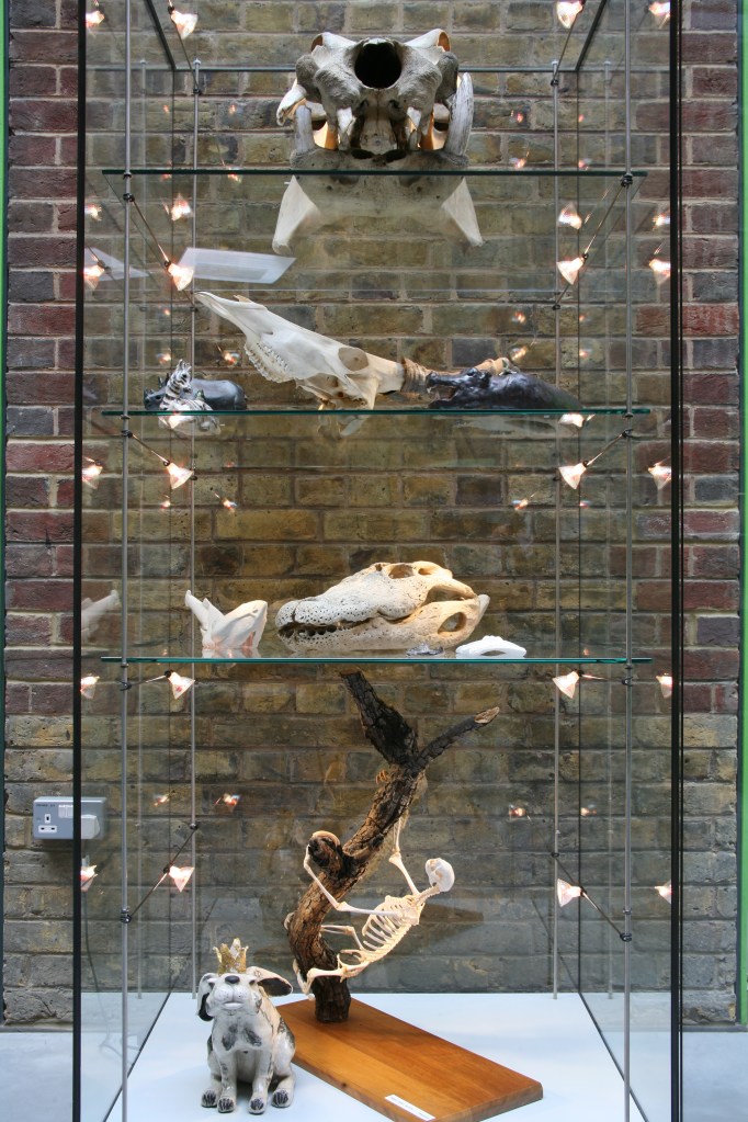 Installation view - cabinet