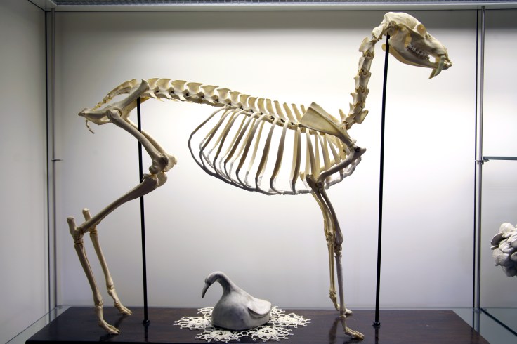 Miriam Reik Pinchy Bird