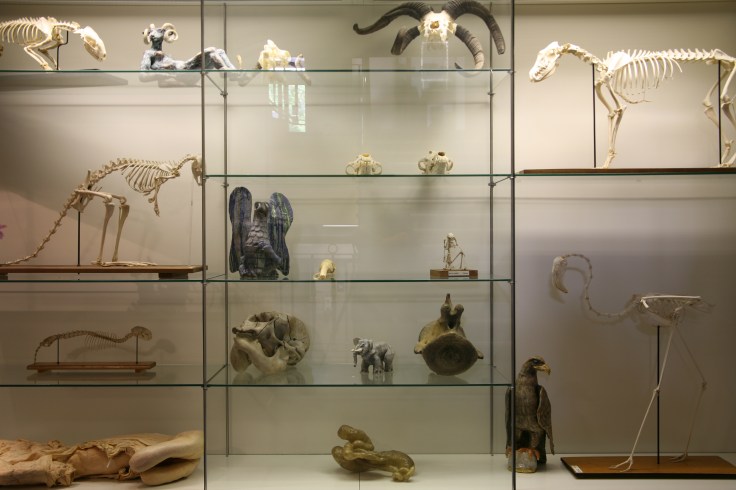 Installation View - cabinet