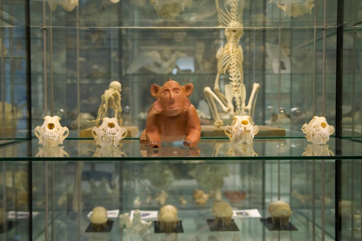 Sharon Lynch Terracotta Dog (2011)