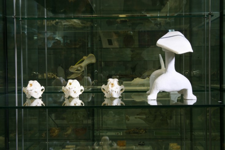 Charlotte Jarvis Dachshund (2010)