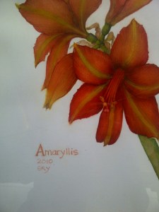 Camden-20130517-00229