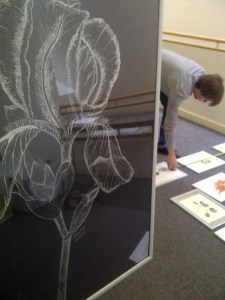 Camden-20130517-00230