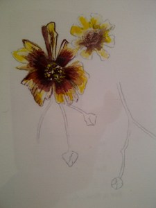 Camden-20130517-00236