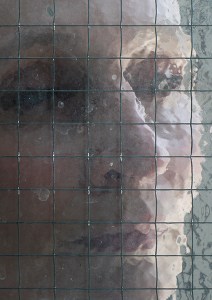 Pernille Holm-Mercer - Photograph by Clifford Gabb