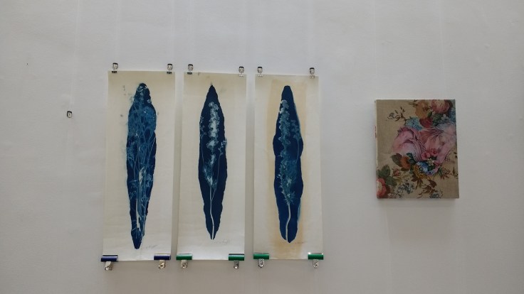 IMG_20160902_130639510