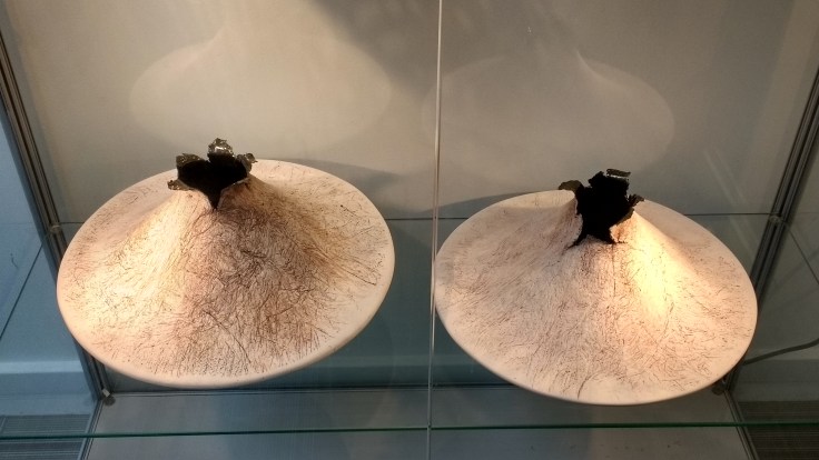 IMG_20160902_130752331_HDR